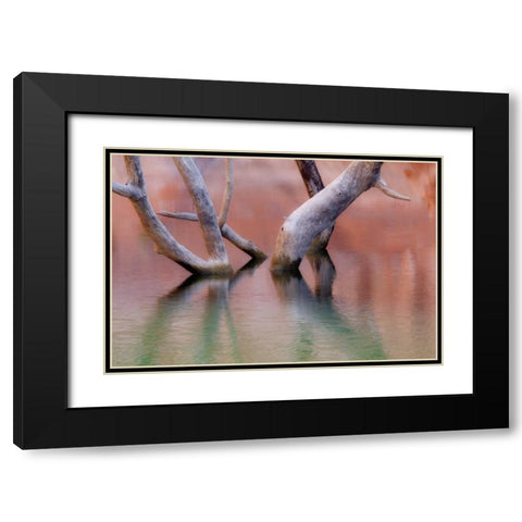 Utah, Glen Canyon Dead cottonwood trunks in lake Black Modern Wood Framed Art Print with Double Matting by Paulson, Don