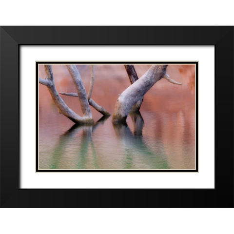 Utah, Glen Canyon Dead cottonwood trunks in lake Black Modern Wood Framed Art Print with Double Matting by Paulson, Don