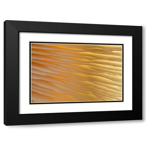 Washington , Seabeck Abstract of mushroom plant Black Modern Wood Framed Art Print with Double Matting by Paulson, Don
