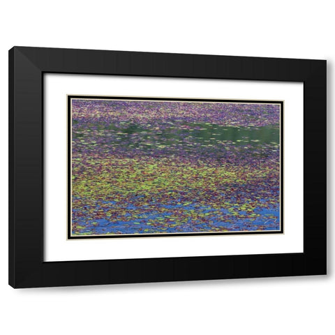 OR, Tahkenitch Lake Abstract of duck weed Black Modern Wood Framed Art Print with Double Matting by Paulson, Don