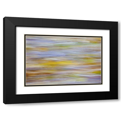 WA, Seabeck Motion blur of fall leaves on beach Black Modern Wood Framed Art Print with Double Matting by Paulson, Don