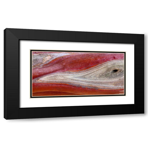 California, Mount Diablo SP Manzanita wood Black Modern Wood Framed Art Print with Double Matting by Paulson, Don