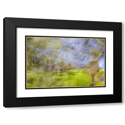 Mexico, Tecate Motion blurred outside abstract Black Modern Wood Framed Art Print with Double Matting by Paulson, Don