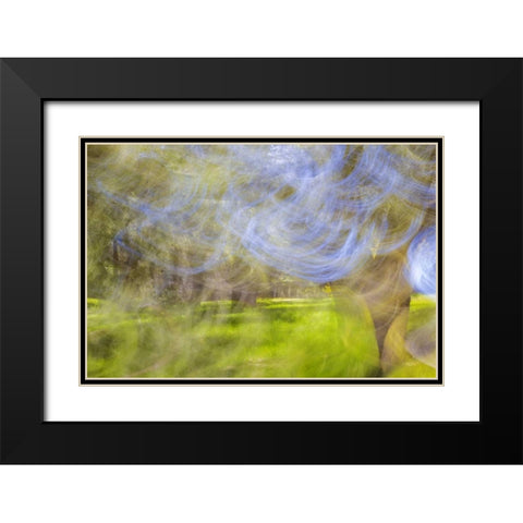 Mexico, Tecate Motion blurred outside abstract Black Modern Wood Framed Art Print with Double Matting by Paulson, Don