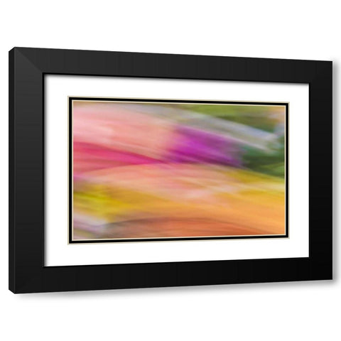 Mexico, Baja California, Tecate Abstract wash Black Modern Wood Framed Art Print with Double Matting by Paulson, Don