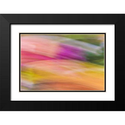 Mexico, Baja California, Tecate Abstract wash Black Modern Wood Framed Art Print with Double Matting by Paulson, Don