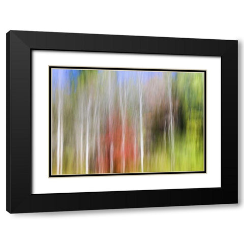 TN, Cherokee NF Abstract tree reflects in a pond Black Modern Wood Framed Art Print with Double Matting by Paulson, Don