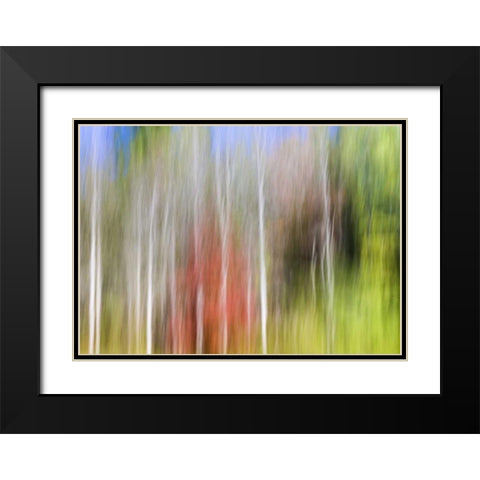 TN, Cherokee NF Abstract tree reflects in a pond Black Modern Wood Framed Art Print with Double Matting by Paulson, Don