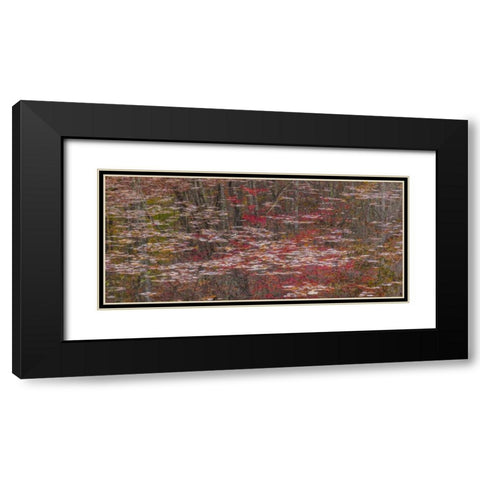 TN Fall reflections in Fall Creek Lake Black Modern Wood Framed Art Print with Double Matting by Paulson, Don