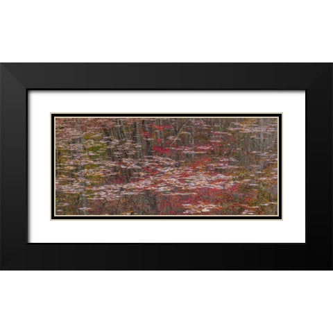TN Fall reflections in Fall Creek Lake Black Modern Wood Framed Art Print with Double Matting by Paulson, Don