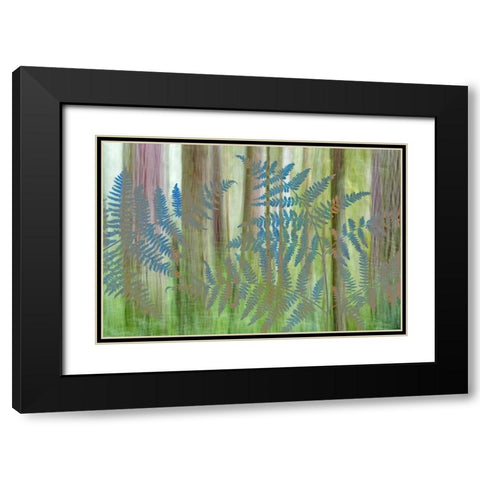 WA, Seabeck Collage of bracken ferns and forest Black Modern Wood Framed Art Print with Double Matting by Paulson, Don