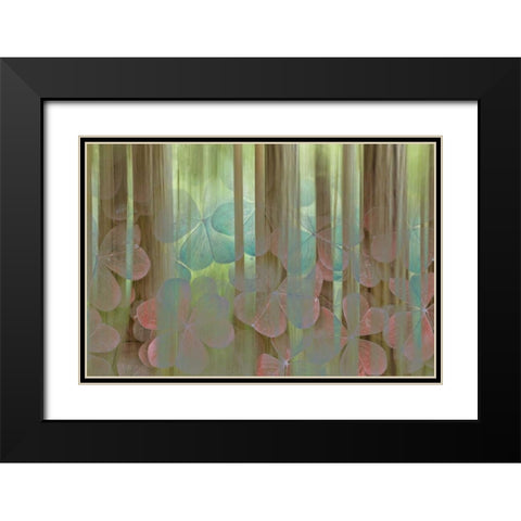 Washington, Seabeck Collage of oxalis and trees Black Modern Wood Framed Art Print with Double Matting by Paulson, Don