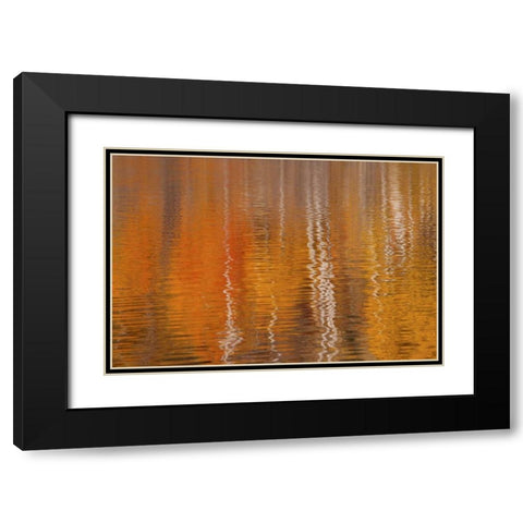 WA, Winthrop Autumn reflections on Beaver Pond Black Modern Wood Framed Art Print with Double Matting by Paulson, Don