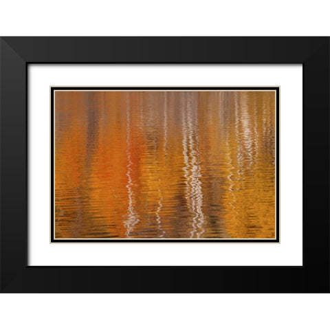 WA, Winthrop Autumn reflections on Beaver Pond Black Modern Wood Framed Art Print with Double Matting by Paulson, Don
