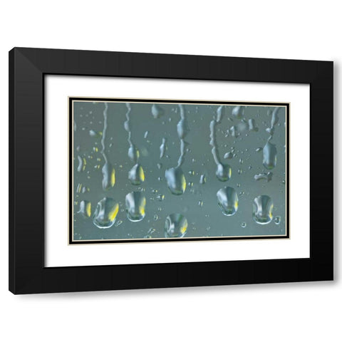 Washington State, Seabeck Raindrops on a window Black Modern Wood Framed Art Print with Double Matting by Paulson, Don