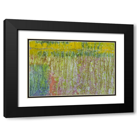 Washington, Fort Hayden Abstract painted wall Black Modern Wood Framed Art Print with Double Matting by Paulson, Don