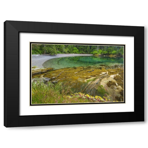 Washington Secluded bay on Sucia Island Black Modern Wood Framed Art Print with Double Matting by Paulson, Don