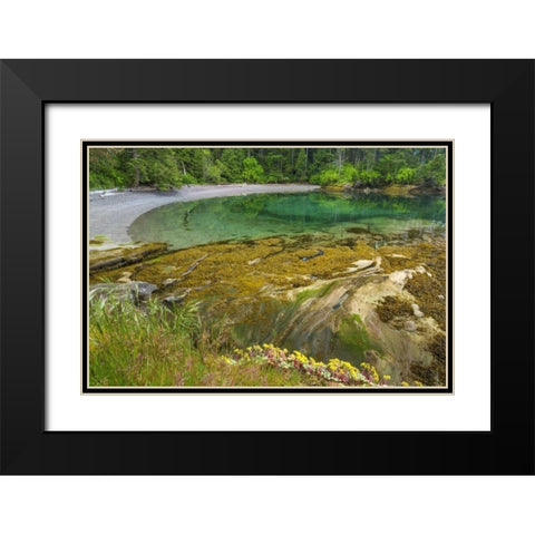 Washington Secluded bay on Sucia Island Black Modern Wood Framed Art Print with Double Matting by Paulson, Don