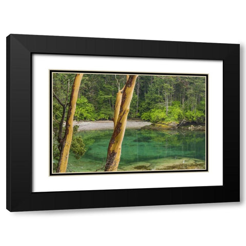 Washington Secluded bay on Sucia Island Black Modern Wood Framed Art Print with Double Matting by Paulson, Don