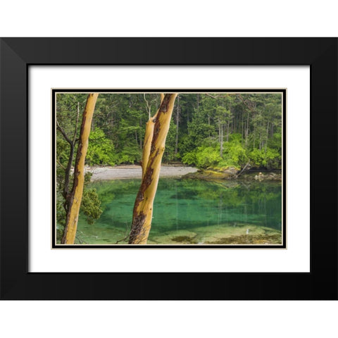 Washington Secluded bay on Sucia Island Black Modern Wood Framed Art Print with Double Matting by Paulson, Don