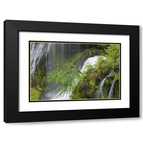 Washington Spring Panther Creek Waterfall Black Modern Wood Framed Art Print with Double Matting by Paulson, Don