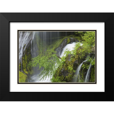 Washington Spring Panther Creek Waterfall Black Modern Wood Framed Art Print with Double Matting by Paulson, Don