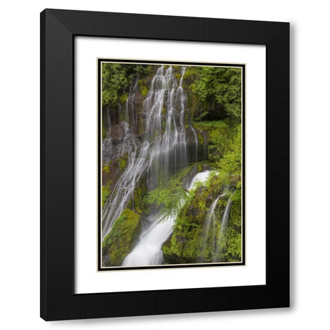 Washington Spring Panther Creek Waterfall Black Modern Wood Framed Art Print with Double Matting by Paulson, Don