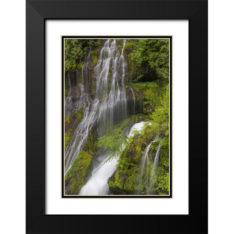 Washington Spring Panther Creek Waterfall Black Modern Wood Framed Art Print with Double Matting by Paulson, Don