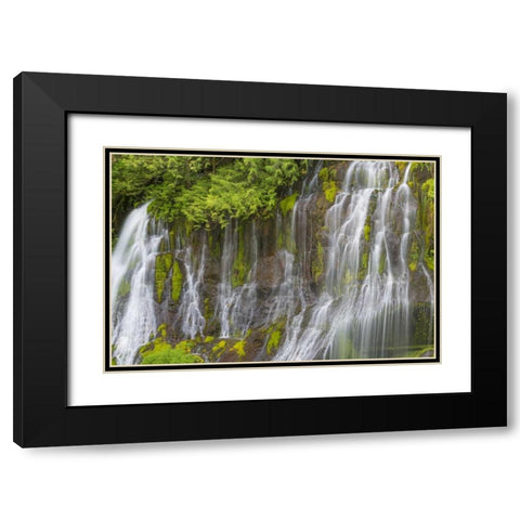 Washington Spring Panther Creek Waterfall Black Modern Wood Framed Art Print with Double Matting by Paulson, Don