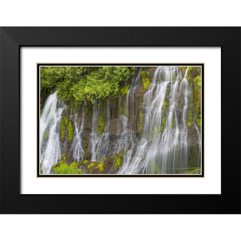 Washington Spring Panther Creek Waterfall Black Modern Wood Framed Art Print with Double Matting by Paulson, Don