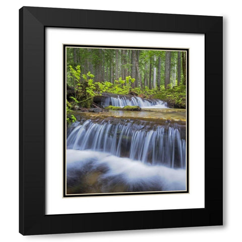 WA, Gifford Pinchot NF Waterfall and forest Black Modern Wood Framed Art Print with Double Matting by Paulson, Don