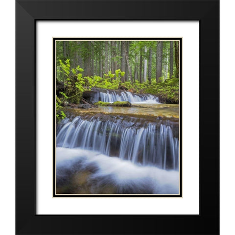 WA, Gifford Pinchot NF Waterfall and forest Black Modern Wood Framed Art Print with Double Matting by Paulson, Don
