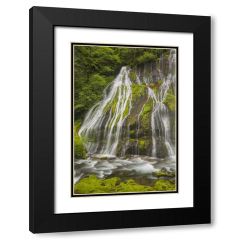 Washington Spring Panther Creek Waterfall Black Modern Wood Framed Art Print with Double Matting by Paulson, Don