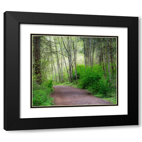 USA-Washington State-Pacific Northwest Sammamish trail along Yellow Lake Black Modern Wood Framed Art Print with Double Matting by Gulin, Sylvia