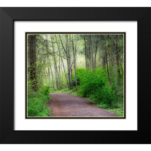 USA-Washington State-Pacific Northwest Sammamish trail along Yellow Lake Black Modern Wood Framed Art Print with Double Matting by Gulin, Sylvia