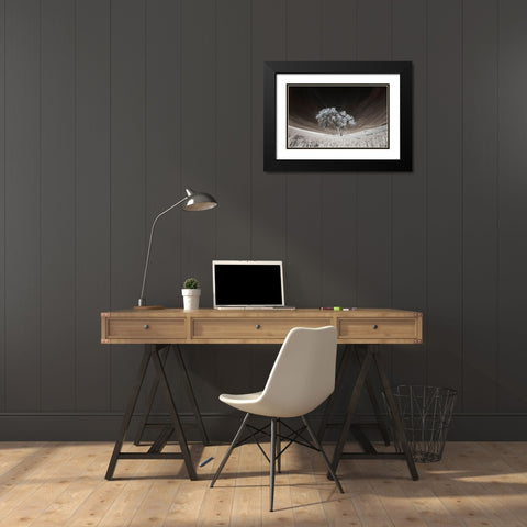 Lone tree in field of harvested wheat Black Modern Wood Framed Art Print with Double Matting by Eggers, Terry