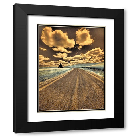 USA-Washington State-Palouse-Country backroad through spring crops Black Modern Wood Framed Art Print with Double Matting by Eggers, Terry