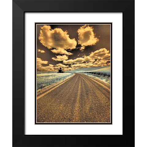 USA-Washington State-Palouse-Country backroad through spring crops Black Modern Wood Framed Art Print with Double Matting by Eggers, Terry