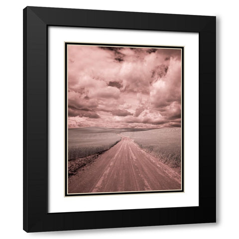USA-Washington State-Palouse-Country backroad through spring crops Black Modern Wood Framed Art Print with Double Matting by Eggers, Terry
