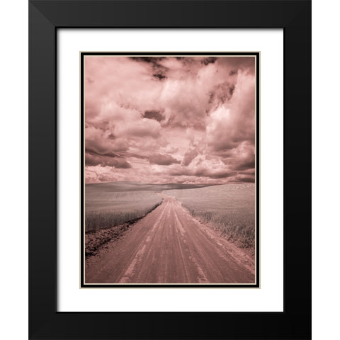 USA-Washington State-Palouse-Country backroad through spring crops Black Modern Wood Framed Art Print with Double Matting by Eggers, Terry