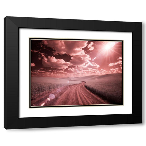 USA-Washington State-Palouse-Country backroad through spring crops Black Modern Wood Framed Art Print with Double Matting by Eggers, Terry