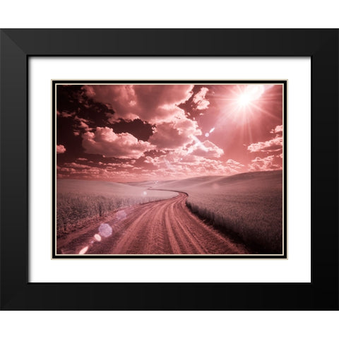 USA-Washington State-Palouse-Country backroad through spring crops Black Modern Wood Framed Art Print with Double Matting by Eggers, Terry
