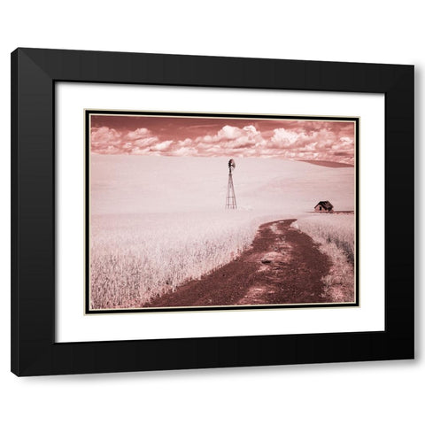 USA-Washington State-Palouse-Backroad through wheat field Black Modern Wood Framed Art Print with Double Matting by Eggers, Terry