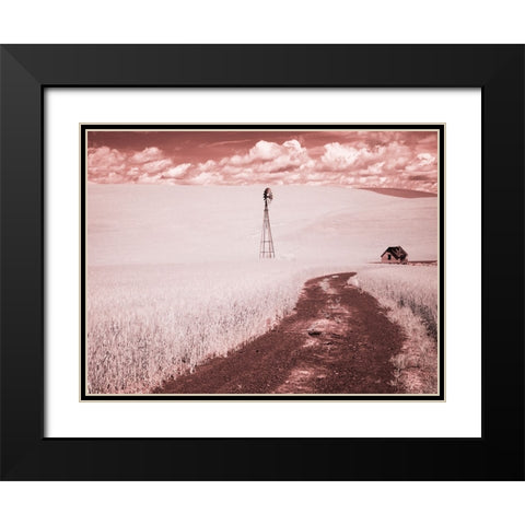 USA-Washington State-Palouse-Backroad through wheat field Black Modern Wood Framed Art Print with Double Matting by Eggers, Terry