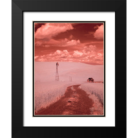 USA-Washington State-Palouse-Backroad through wheat field Black Modern Wood Framed Art Print with Double Matting by Eggers, Terry