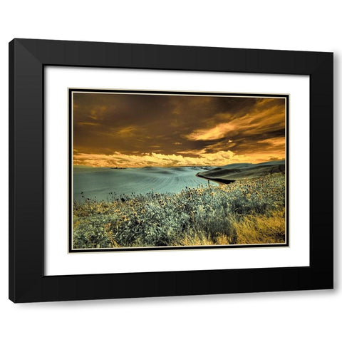 USA-Washington State-Palouse-Spring Poppies and Backcountry road through wheat field and clouds Black Modern Wood Framed Art Print with Double Matting by Eggers, Terry