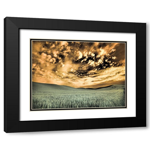 USA-Washington State-Palouse-wheat field and clouds Black Modern Wood Framed Art Print with Double Matting by Eggers, Terry