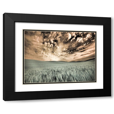 USA-Washington State-Palouse-wheat field and clouds Black Modern Wood Framed Art Print with Double Matting by Eggers, Terry
