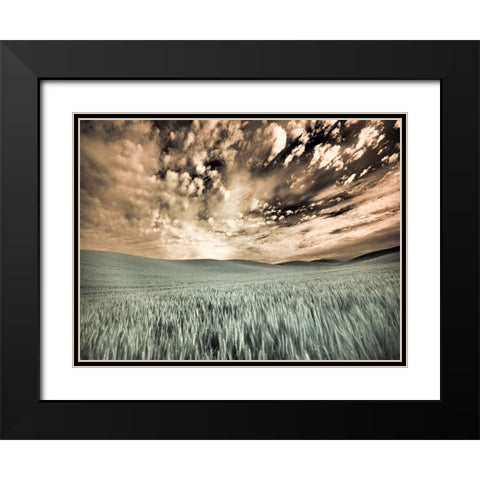 USA-Washington State-Palouse-wheat field and clouds Black Modern Wood Framed Art Print with Double Matting by Eggers, Terry