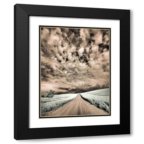 USA-Washington State-Palouse-Backcountry road through wheat field and clouds Black Modern Wood Framed Art Print with Double Matting by Eggers, Terry